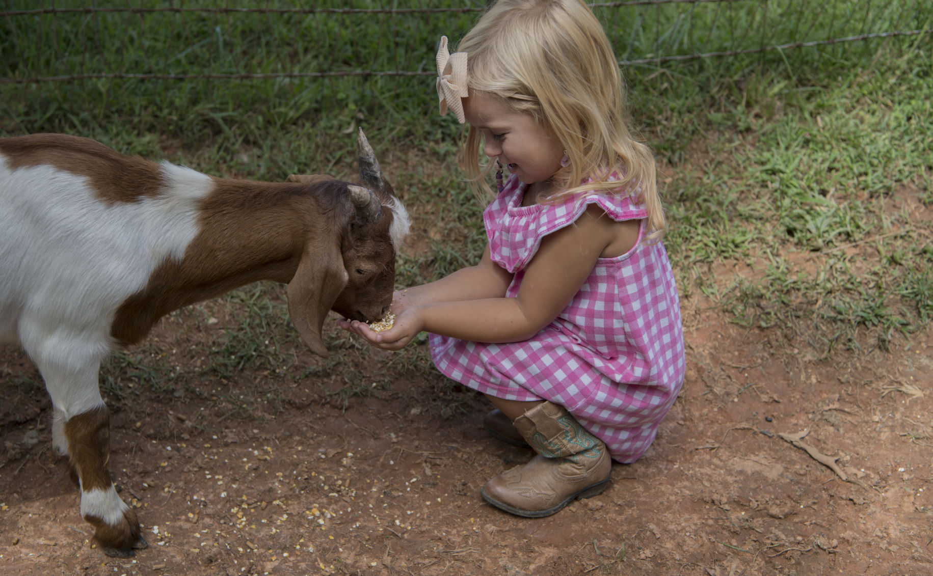Triple J's Interactive Farm